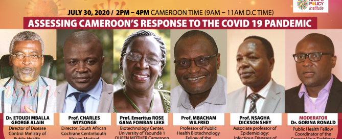 ASSESSING CAMEROON’S RESPONSE TO THE COVID 19 PANDEMIC-lin