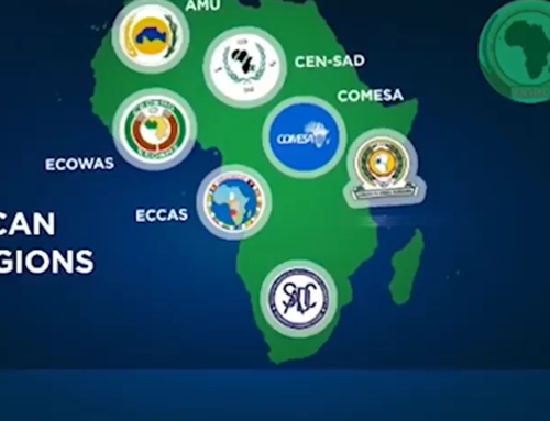 Hi TV Report on AfCFTA Panel Discussion (January 2024)