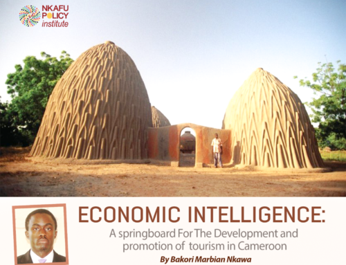 Economic Intelligence: A springboard for the development and promotion of tourism in Cameroon