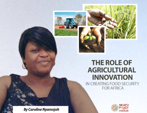 The Role of Agricultural Innovation in creating Food Security for Africa