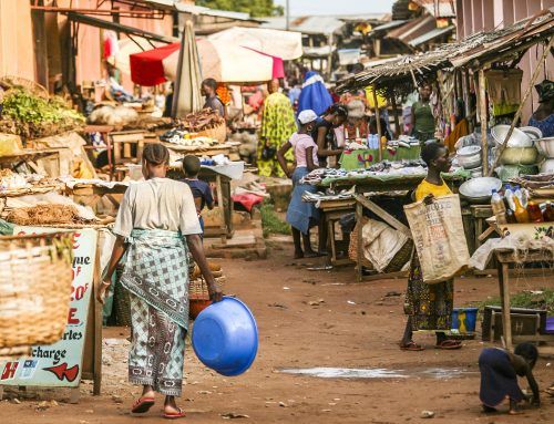 The African Continental Free Trade Area: Are we putting the Cart before the Horse?