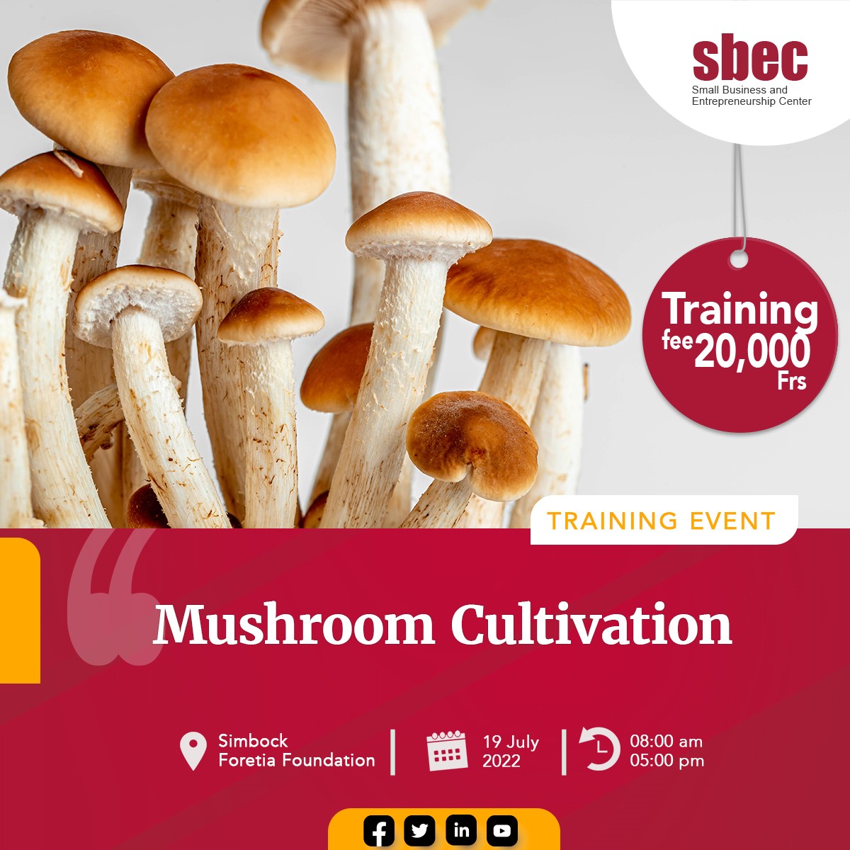Training On Mushroom Cultivation