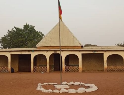 Visit in TCHEBOA : Interview with LAMIDO DE TCHEBOA