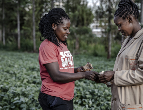 Facilitating  Business creation in Cameroon