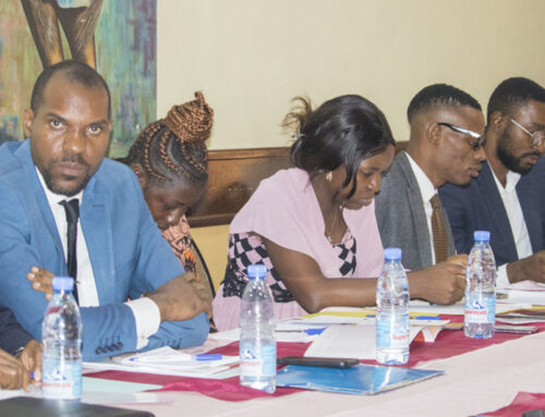 The Urgent Need to Improve the Business Climate in Cameroon