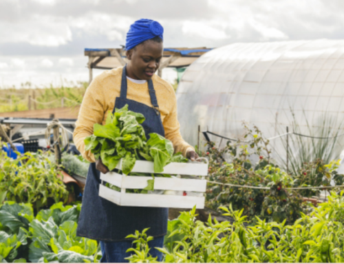 Empowering Women entrepreneurs to combat hunger, poverty, and gender inequality