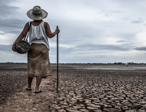 The Impact of Climate Change on Women’s Economic Empowerment in Cameroon