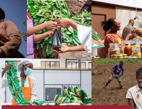 2024 State of Business Report : Contribution of Income-Generating Activities to Economic Development in Cameroon