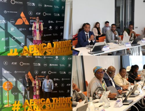 Resilience Through Collaboration: Lessons from Africa’s Think Tank Summit and NeTT4Peace